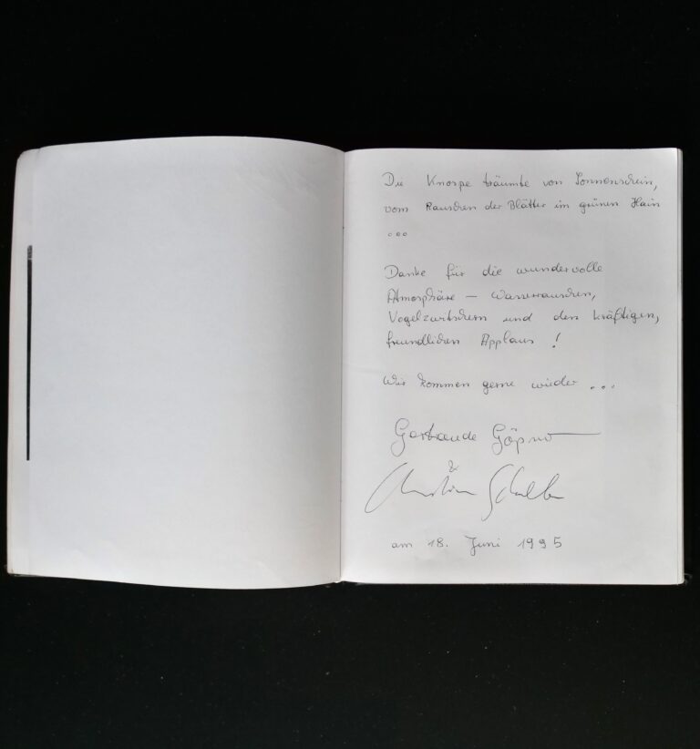 Matinee/Harzburger Musiktage - 18. Juni 1995