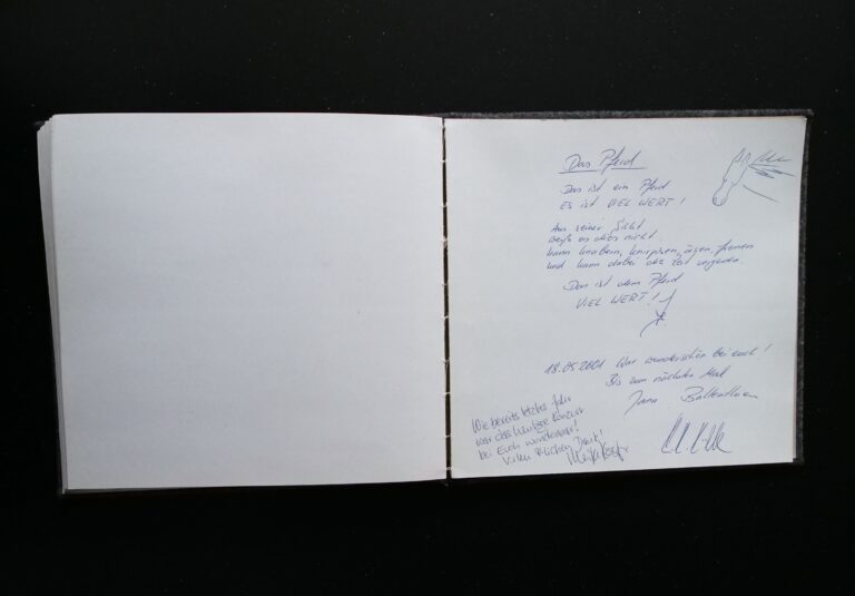 VII. Harzburger Songnacht - 18. Mai 2001