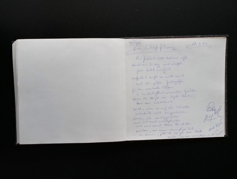 Die Urvögel - 28. September 2001