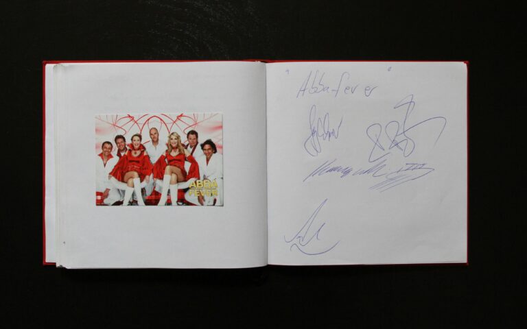 Abba Fever - 20. August 2010